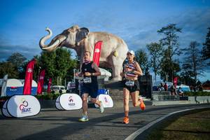 BIB: 
                            <button type="button" onclick="openModal(26541635)" class="btn btn-primary btn-sm float-right btn-popup" data-toggle="modal" data-target=".modal-high-quality">
                        <i class="fas fa-shopping-cart"></i> Add to Cart
                    </button>
                                            <button type="button" onclick="isThisMe(26541635, true)" class="btn btn-success btn-sm float-right btn-popup btn-isme hidden" data-toggle="tooltip" data-placement="bottom" title="นี่คือรูปของคุณใช่ไหม คลิกที่นี่เพื่อเอาเข้าอัลบั้ม">
                        <i class="fas fa-plus"></i> Add to album
                    </button>
                    <button type="button" onclick="isThisMe(26541635, false)" class="btn btn-warning btn-sm float-right btn-popup btn-isnotme hidden">
                        <i class="fas fa-ban"></i> Remove from album
                    </button>